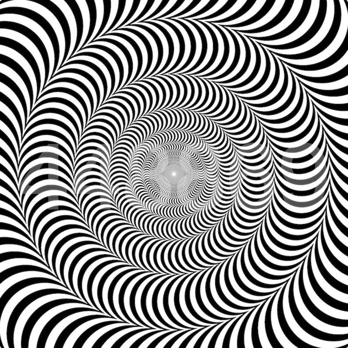 Sarah Sam tweet media