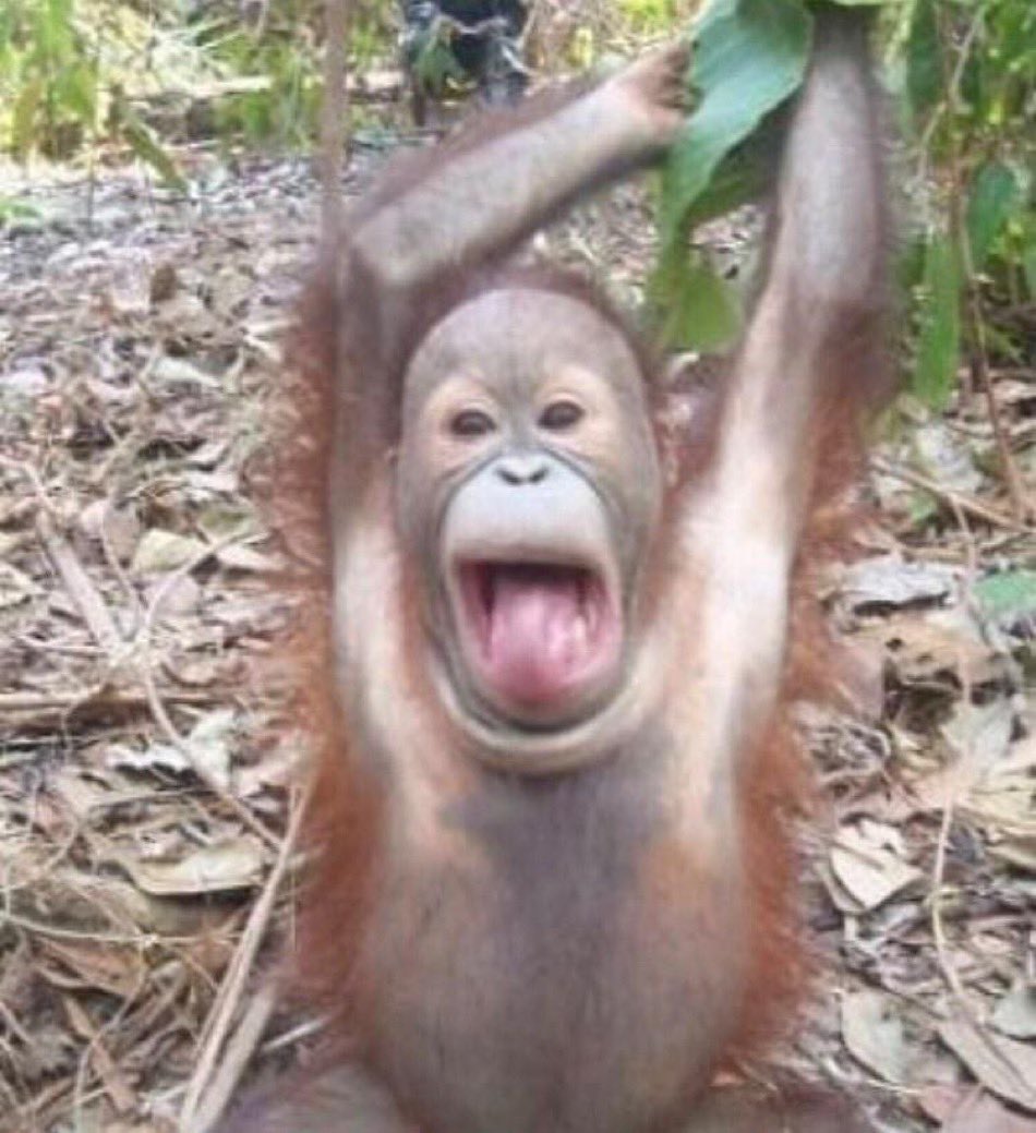 Just did something i was really scared to do, in pursuit of love!!!!!!!!