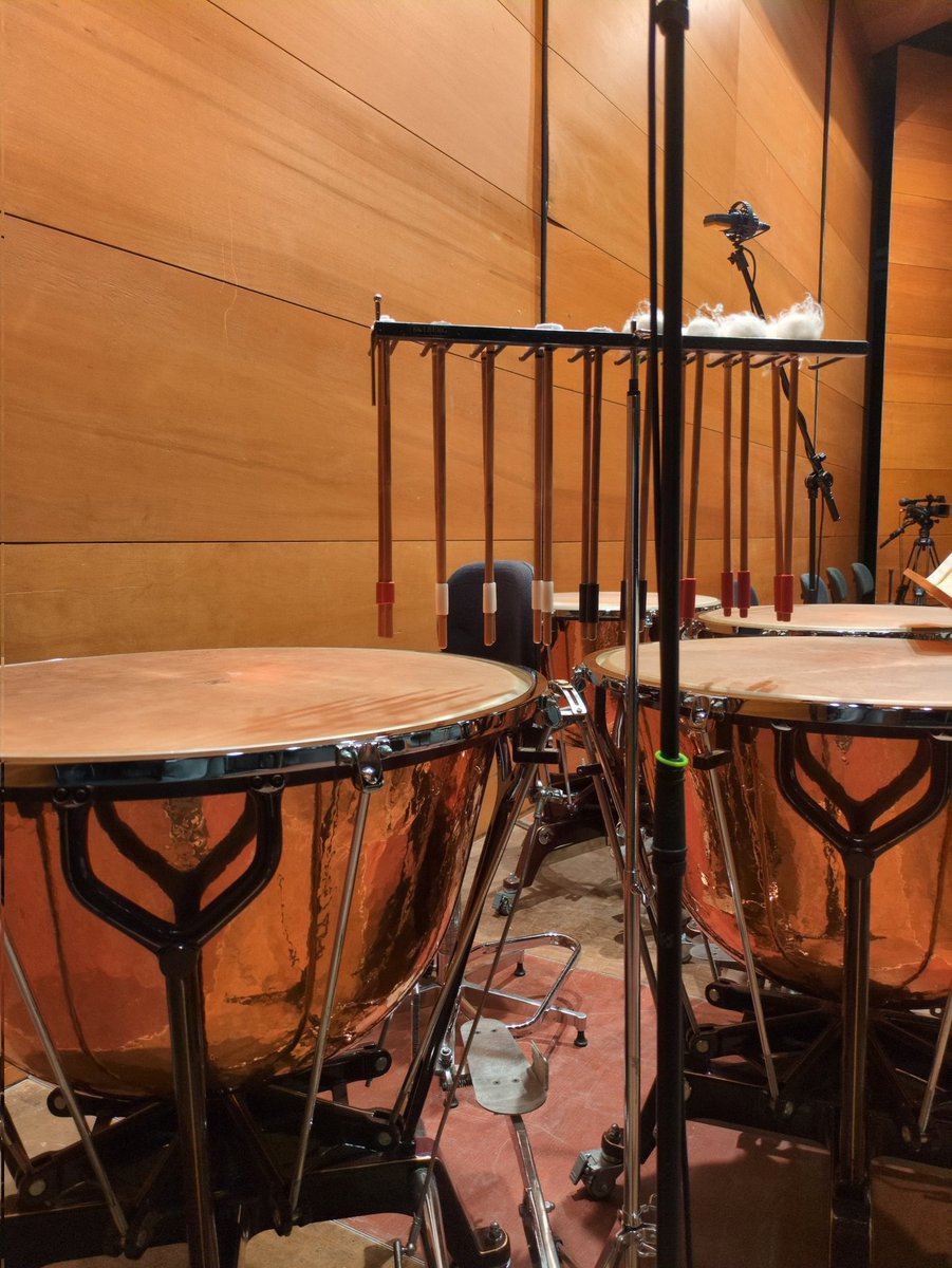 今回はHardtkeと大学オケ
KATOとポーランドのB-MarcでC.Schumannのピアコンとべト7

明日も頑張ります