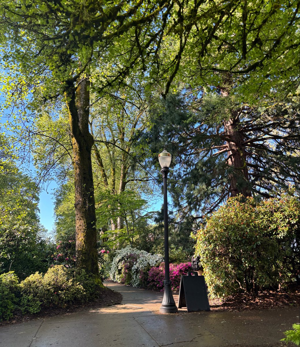 El Bailador tweet media