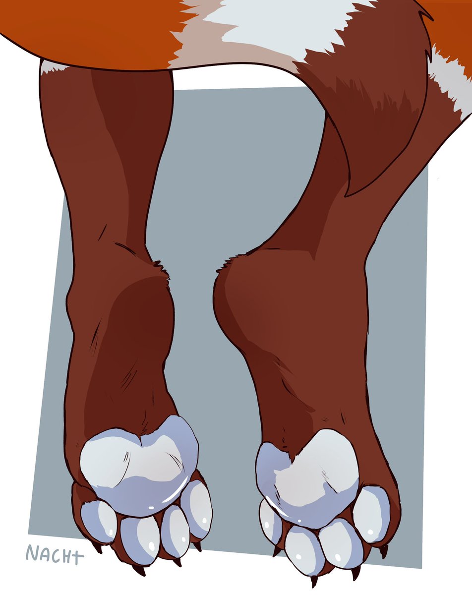 🦊Arthur🦊🔜FWA tweet media