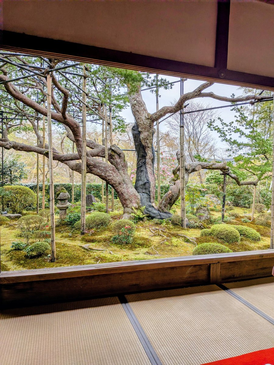 中村@Aki tweet media