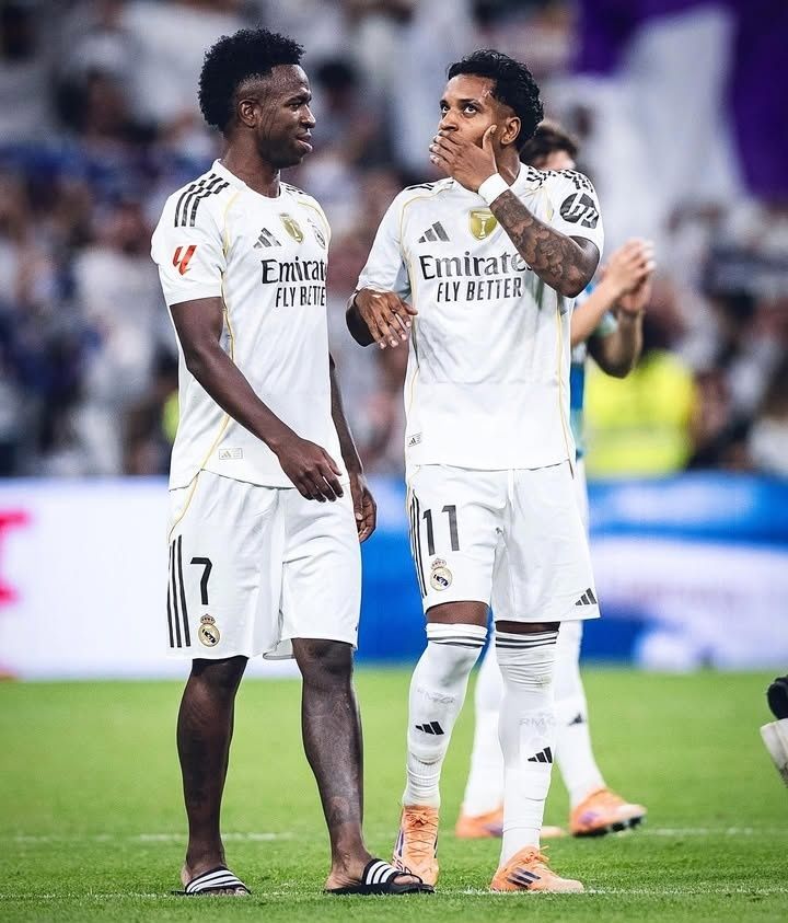 Madrid Zone tweet media