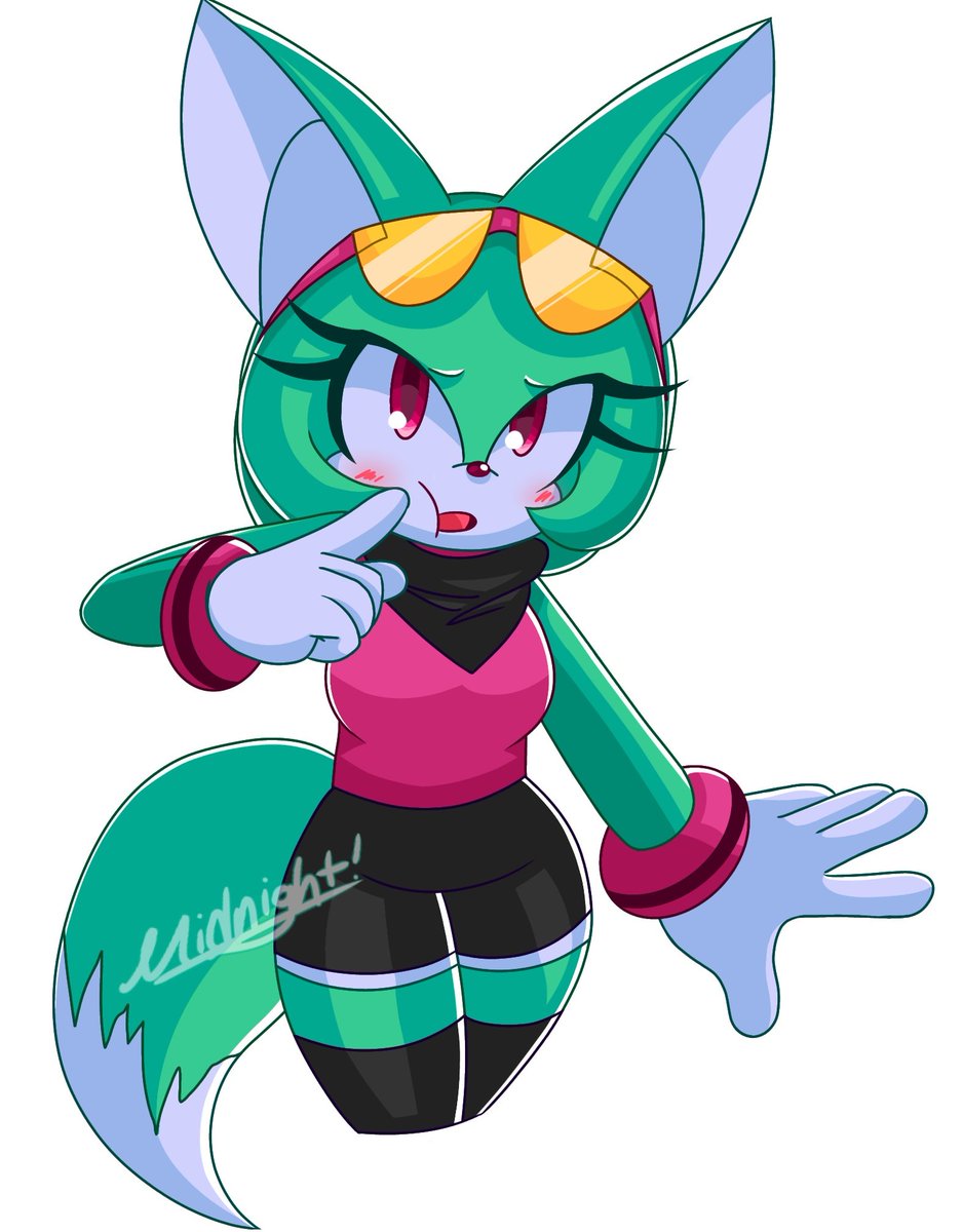 🌟Midnight!/SONIC MOVIE 4 HYPE!✨️ tweet media