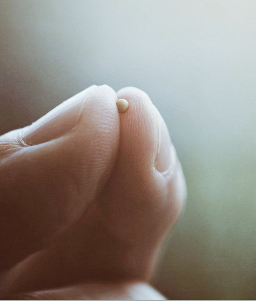 Ina Brink tweet media