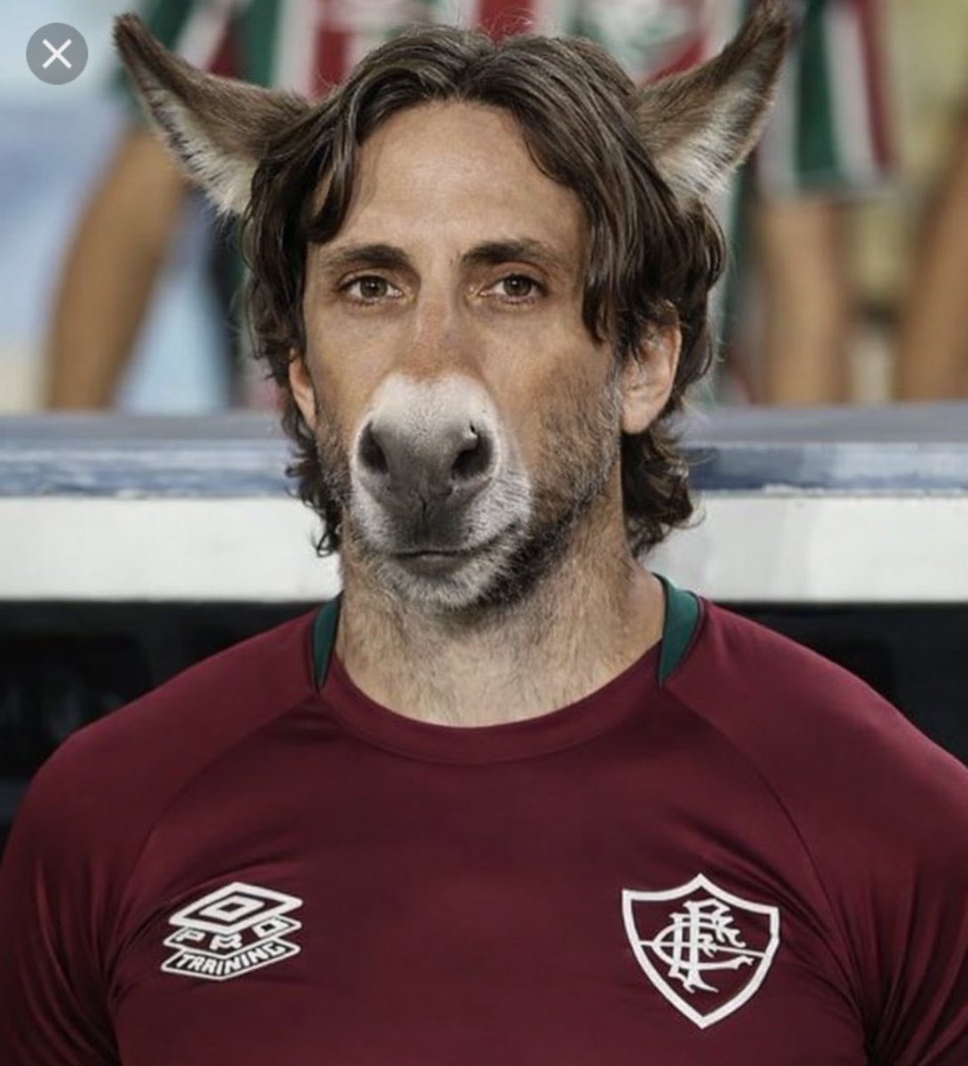 Fred Sincero tweet media