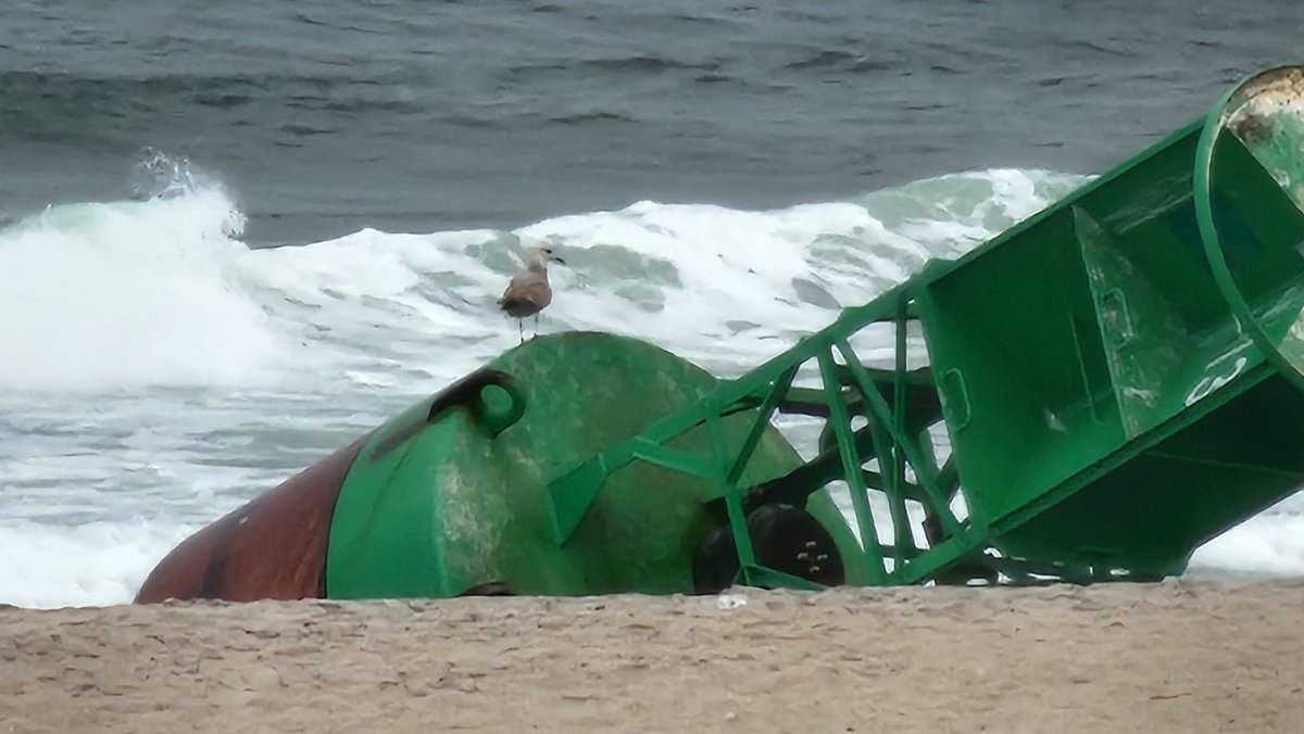 jjclayt's tweet photo. Bright morning, found a 7 ton buoy washed ashore. https://t.co/NLbIjlLDG1