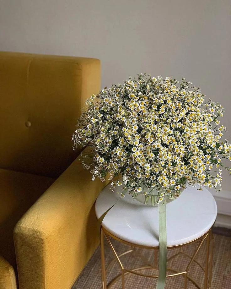 Purely Green tweet media