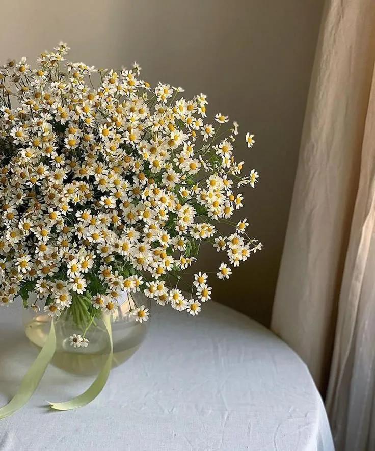 Purely Green tweet media