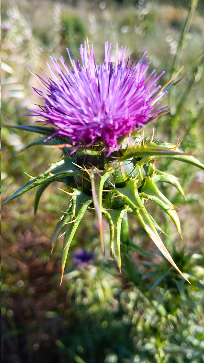 Joan Tur tweet media