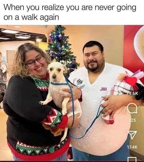 Terrence Popp tweet media