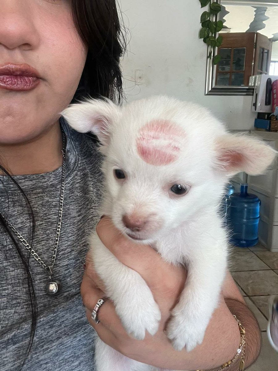 Monxx081's tweet photo. Mi niño💕 https://t.co/UoGMDwbNOb