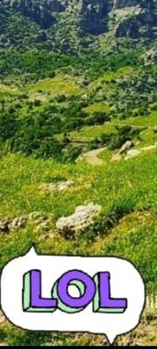 Nepenn_'s tweet photo. @Behroyebelengaz Nîşanê min bide plss ev çîye min zehf meraq kir https://t.co/yU8069yljz