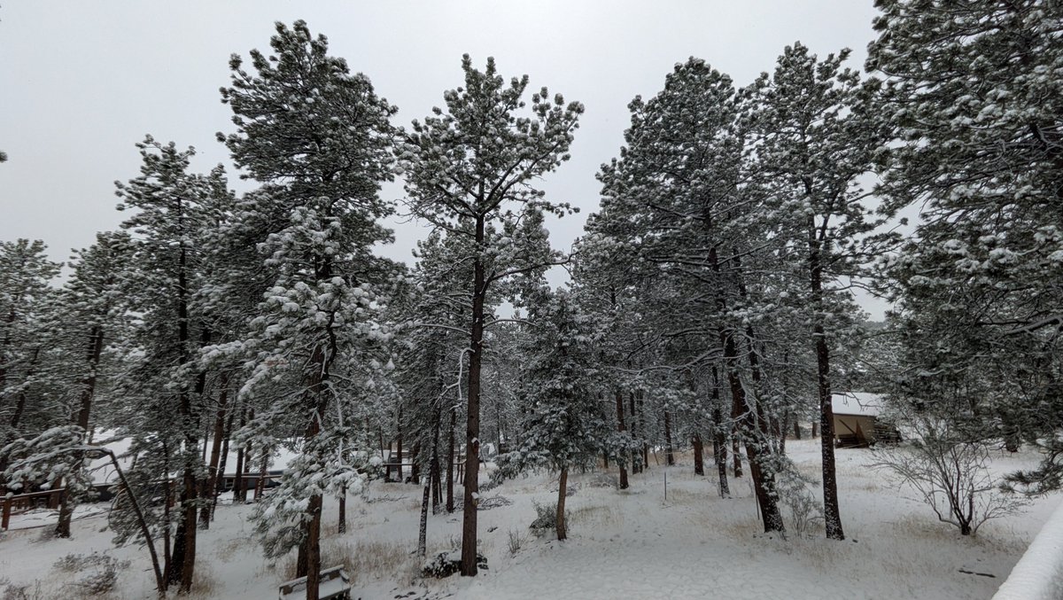 Mid-afternoon and Evergreen has 3.8" of snow on the day. #cowx