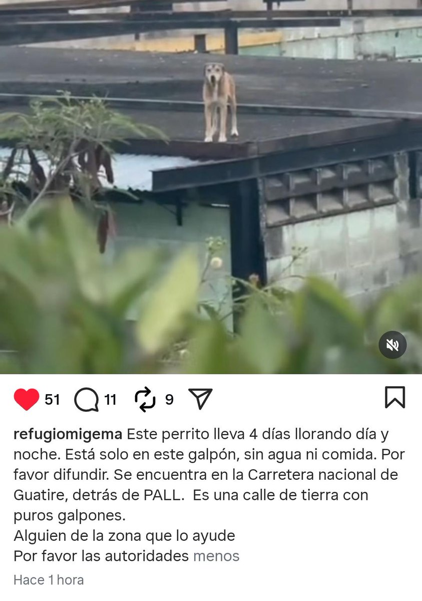 Mary X 🩵🐕🐈 tweet media