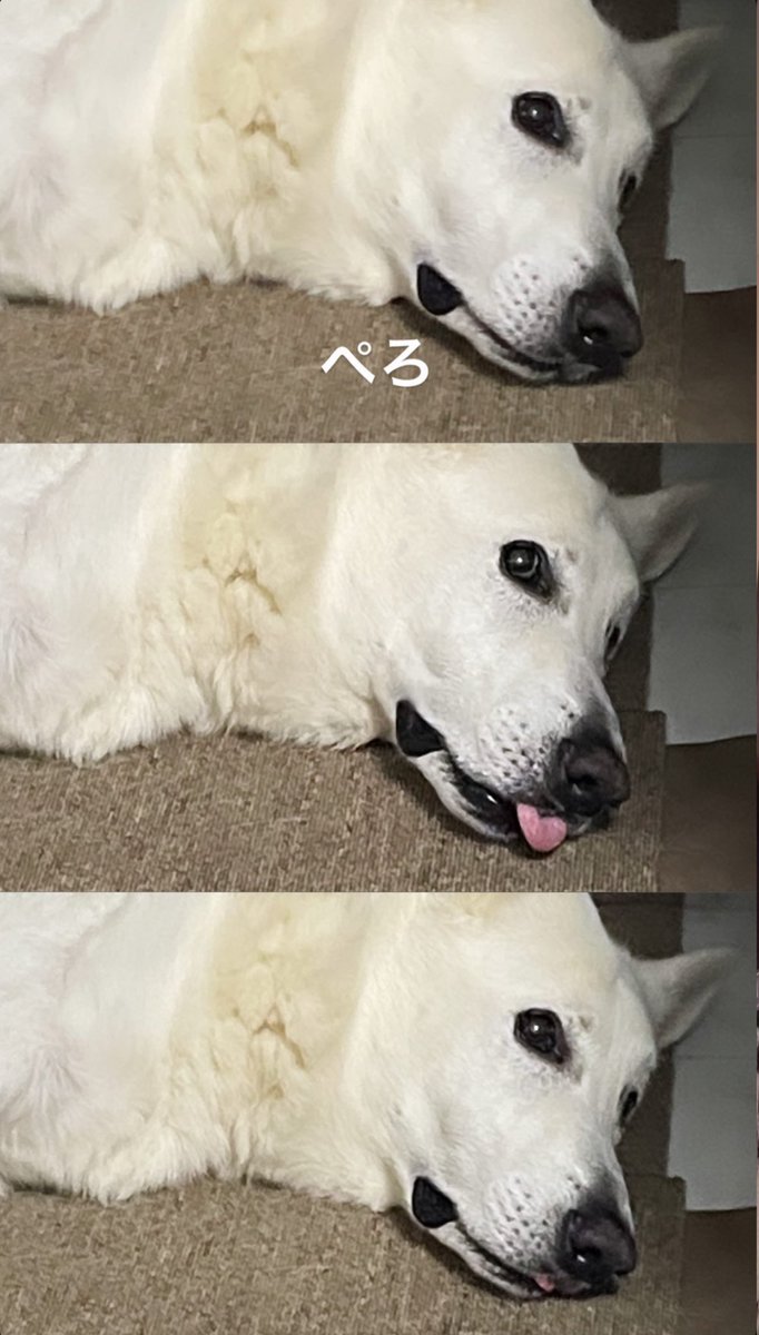 水城れな【ラルムストーン】 tweet media