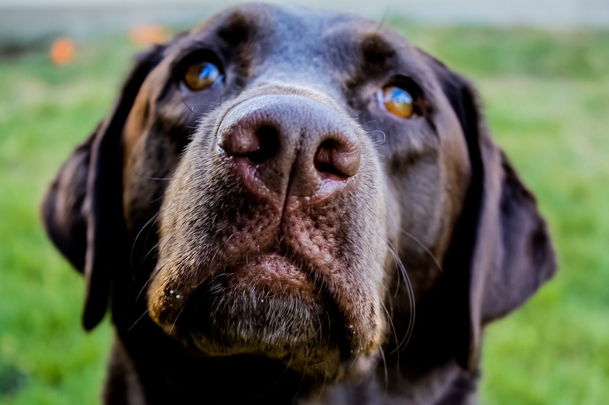 emilyetaylor tweet media