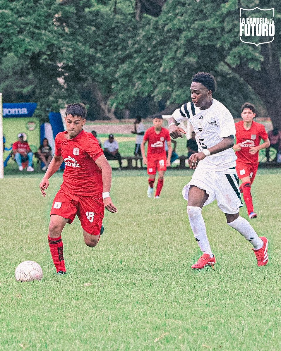 Categorías de Formación América de Cali tweet media