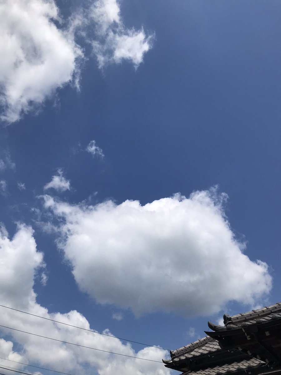 しんこ tweet media