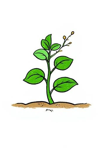 Ishaqabdull tweet media