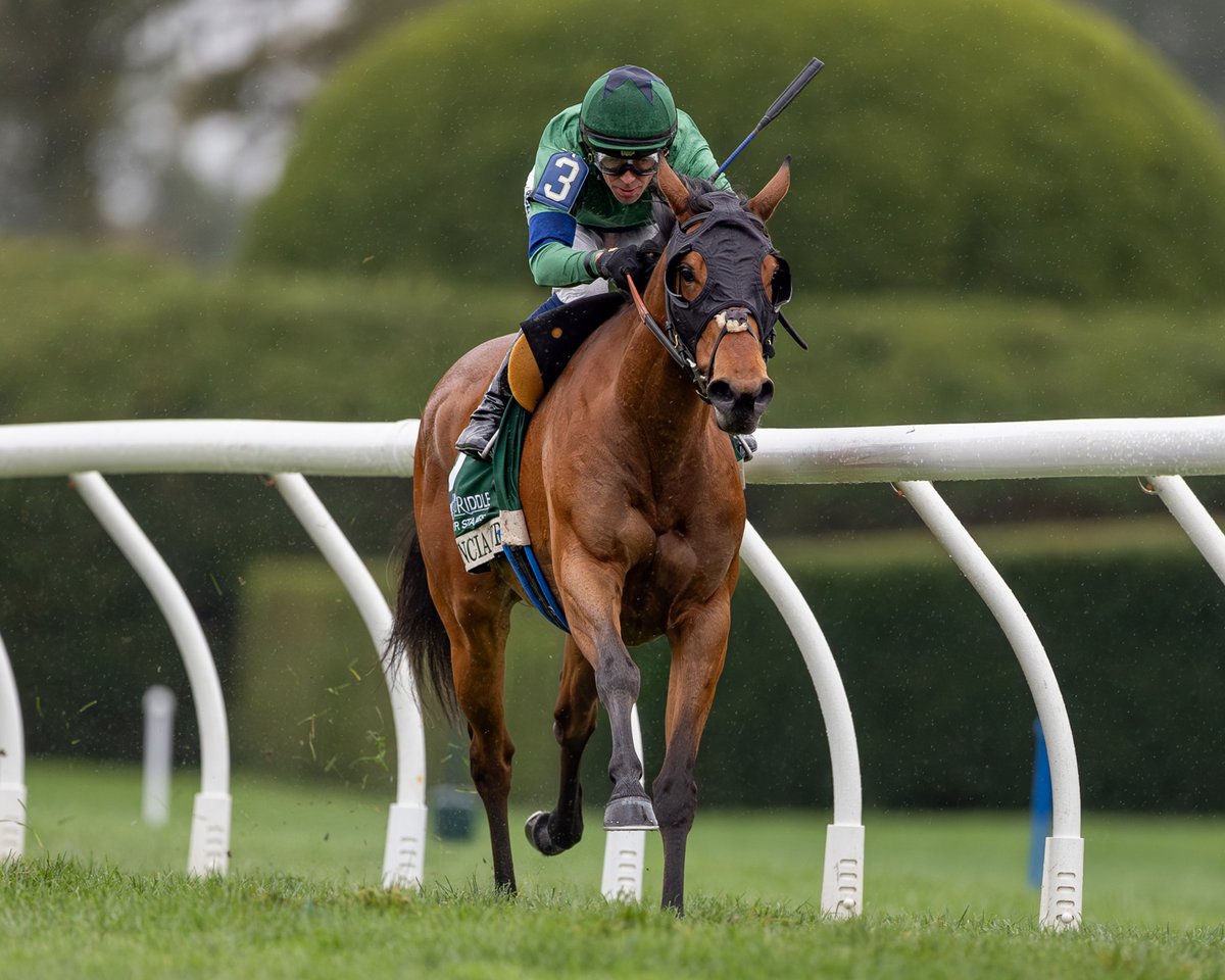 keenelandracing's tweet photo. Venencia (FR) Tops Evenly Matched Field of Nine for Closing-Day Bewitch Presented By Keeneland Sales. Read #BarnNotes → https://t.co/qGJw4hdY3A https://t.co/N34KyTytPh