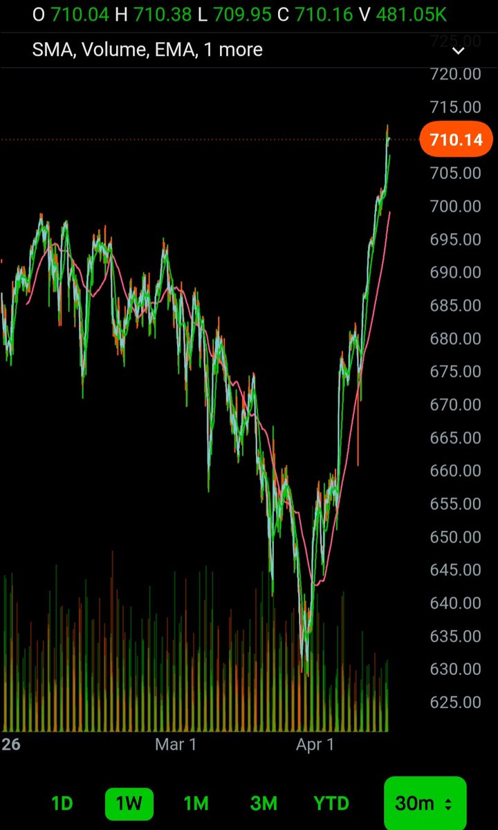 Cyber Kitty tweet media