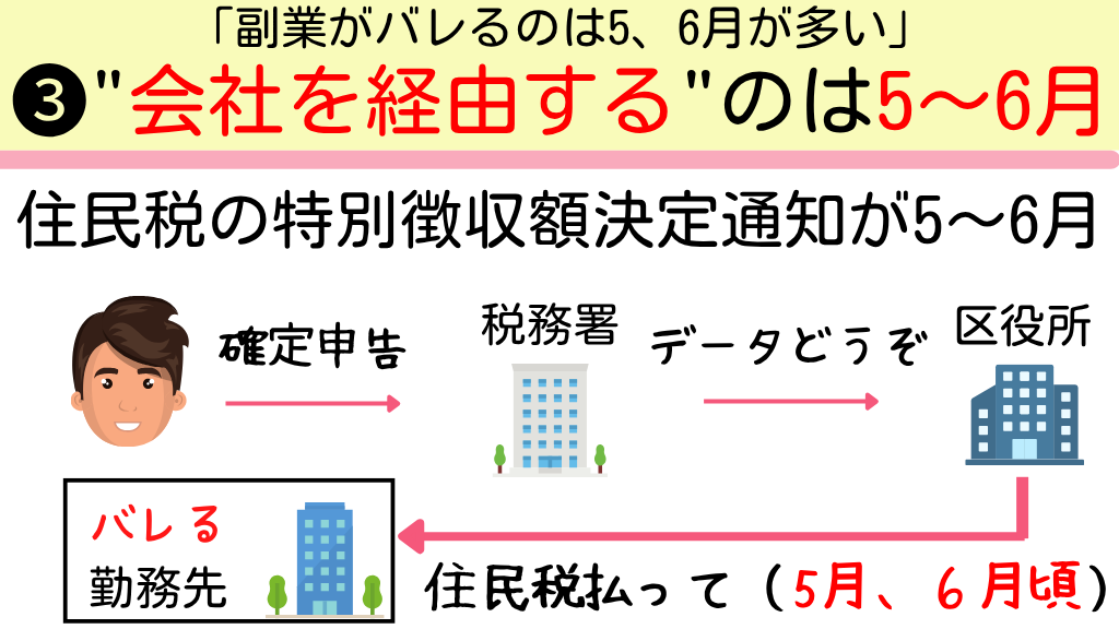 ねこみち tweet media