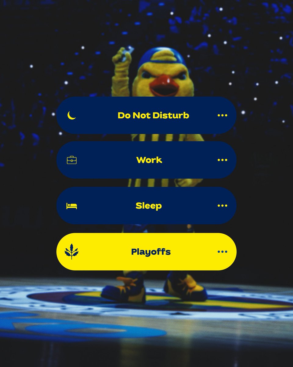 YellowTheCanary's tweet image. If you’re ready, we’re in playoff mode 💪

#Yellow @FBBasketbol