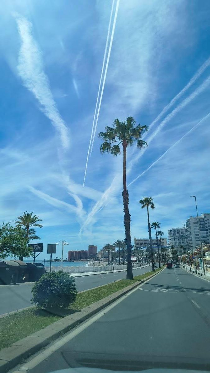 Doctora Cristina Martín Jiménez tweet media