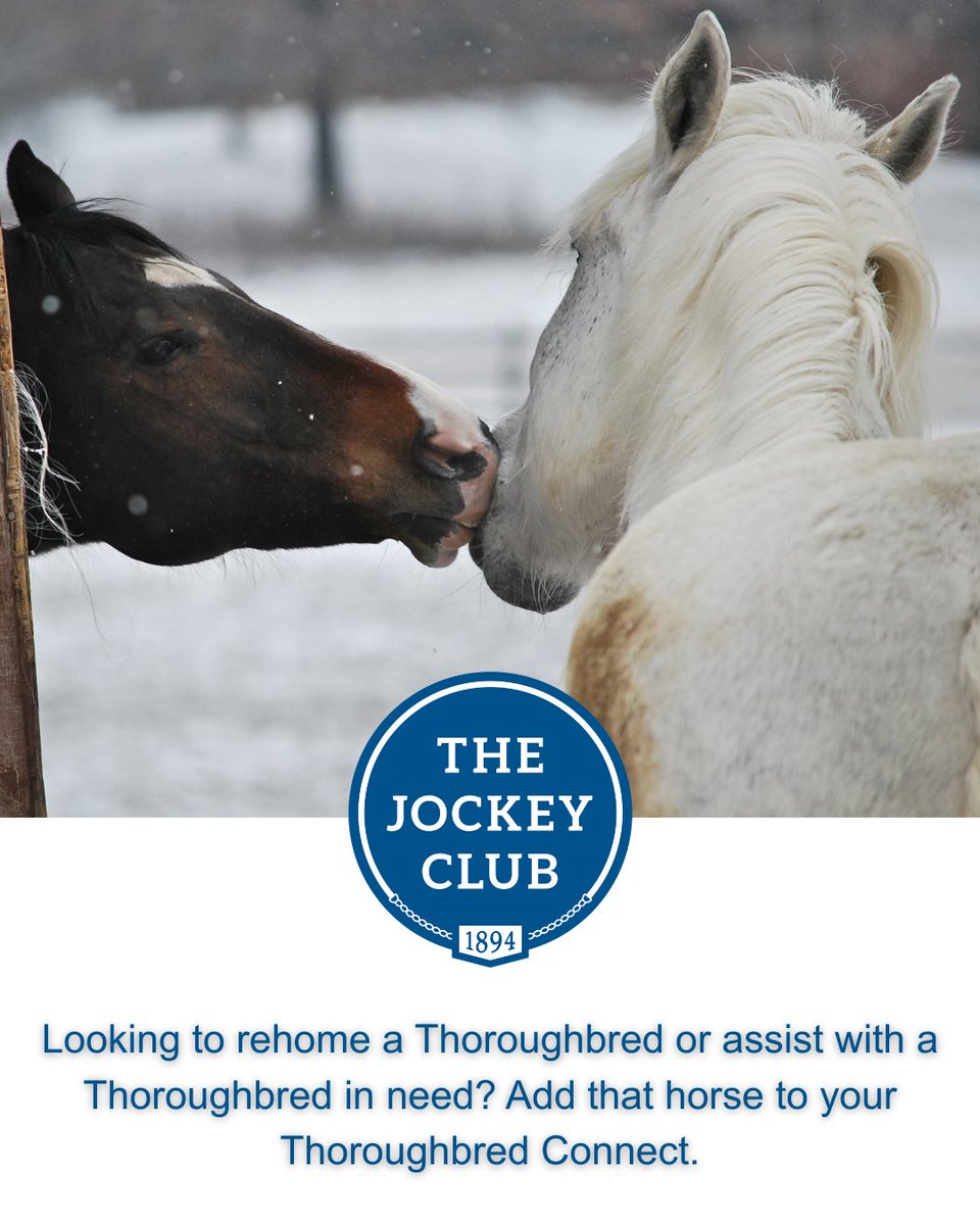 The Jockey Club tweet media