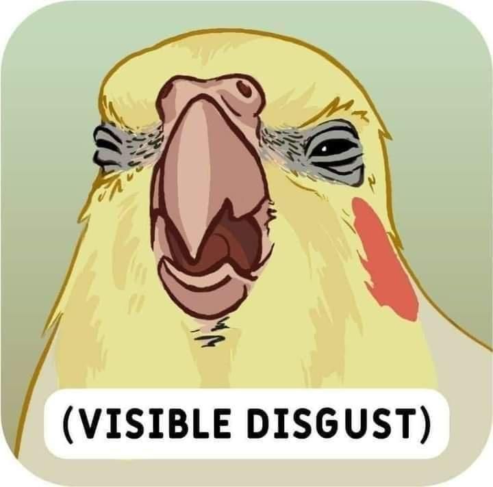 Tepelbos Meow tweet media