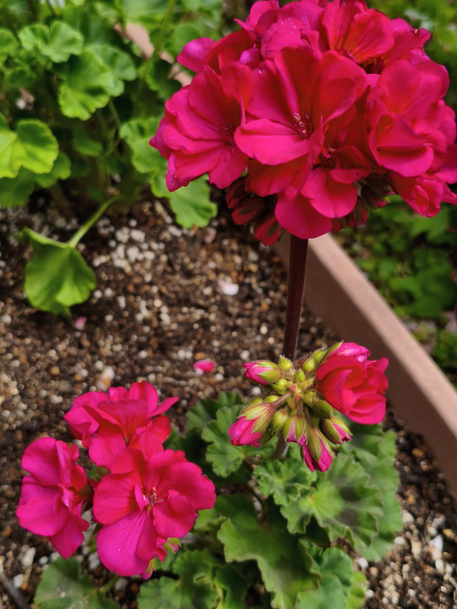 濱ちゃん🤣 tweet media