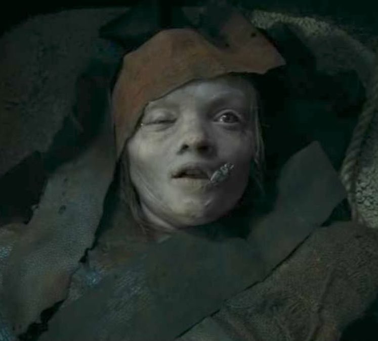 The Hollywood Handle tweet media