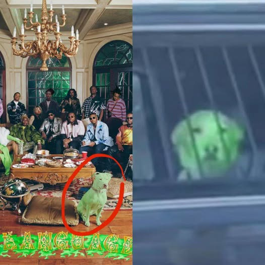 THUGGERS VAULT ひ tweet media