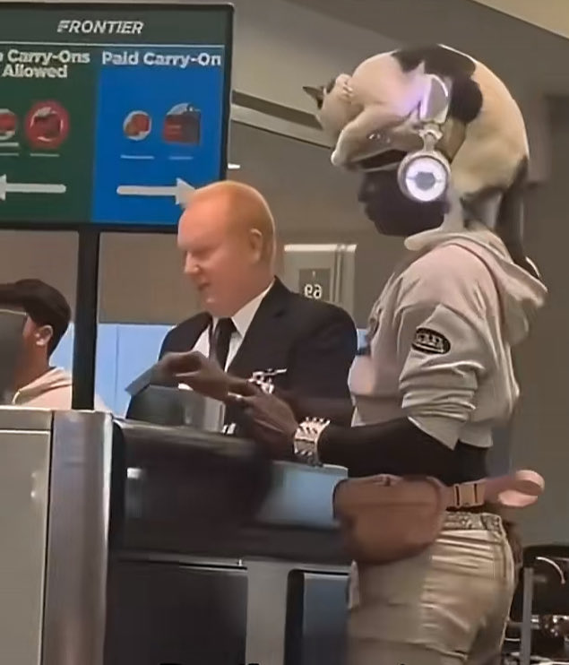 Moonshrimp tweet media