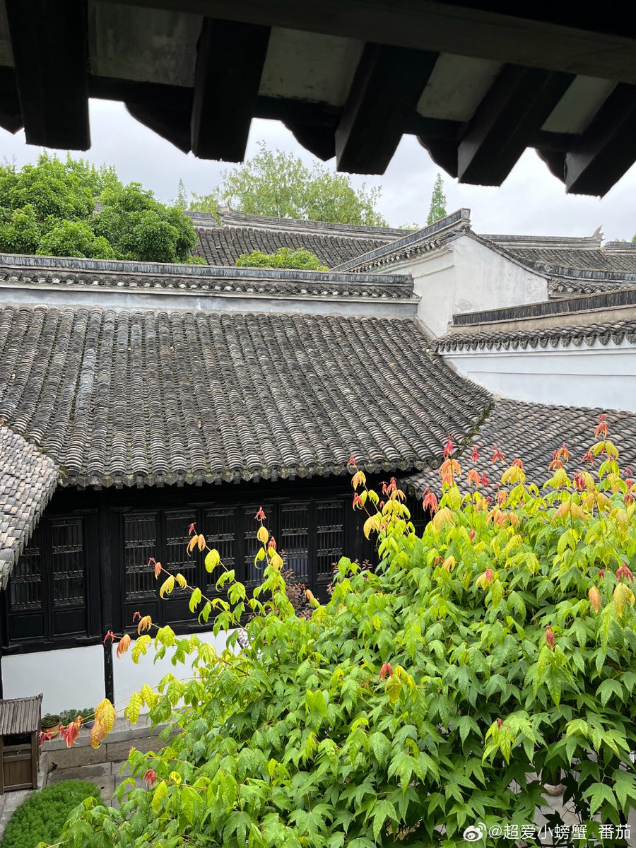 Bernardy tweet media