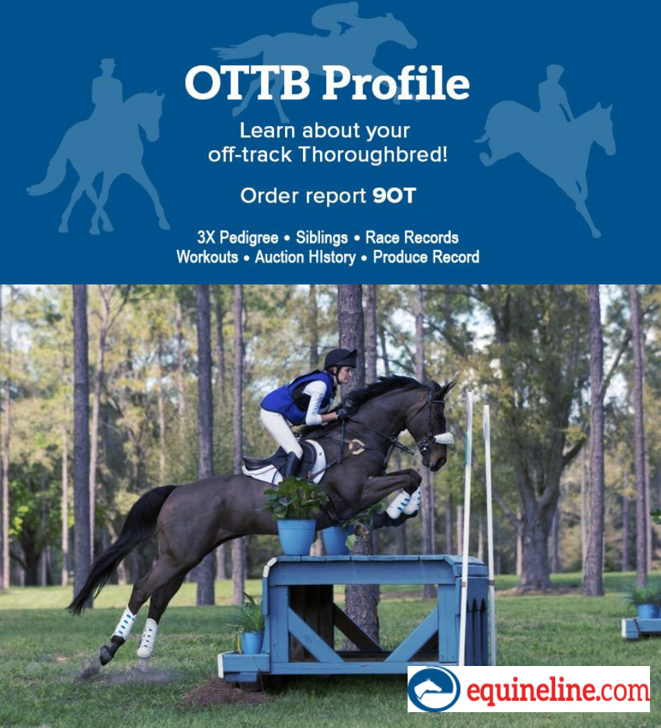 The Jockey Club tweet media