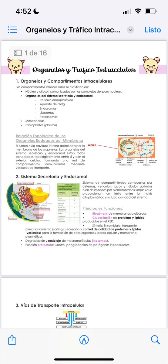 ferni ✮⋆˙ tweet media