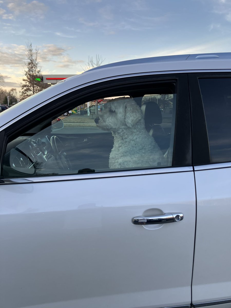 kd66bug's tweet image. Seriously… saw this as I was leaving a local establishment. #woof. 😂🤣