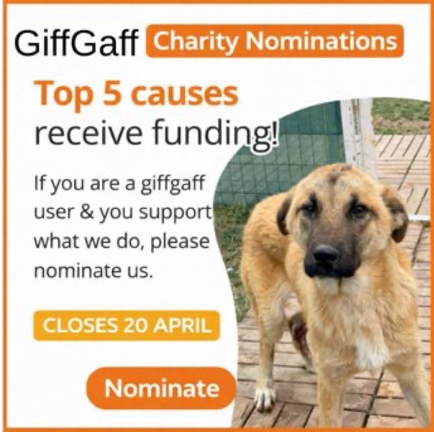 LisaClareRead2's tweet image. Are you a #GiffGaff customer? 
Giffgaff are donating to the top 5 charities &amp;amp; you can nominate @DogDeskAction 
Just 3 days left and they have dropped a place 😢Please vote for them via the link below 
⬇️ 

community.giffgaff.com/d/34561967-our…

Thanks for your support 🙏 
#dogs #Weekendvibes