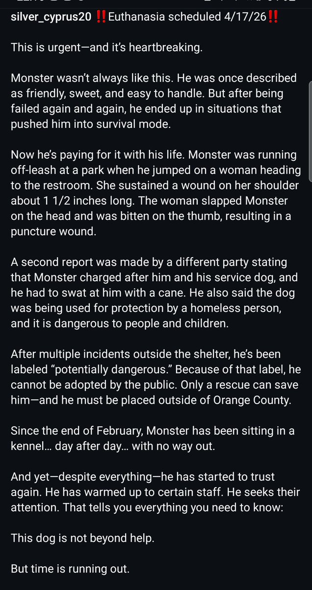 8415_n's tweet image. MONSTER #A1860740
On a serious note, I'd fire the entire staff of dog haters at #OCAC #TustinCA
They not only made this #gsd #RescueOnly but labeled him "potentially dangerous", so it's nearly impossible to save him. Locked up for 2 months. Must be taken outside #OrangeCounty