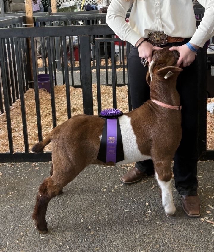 Coach Blakely tweet media