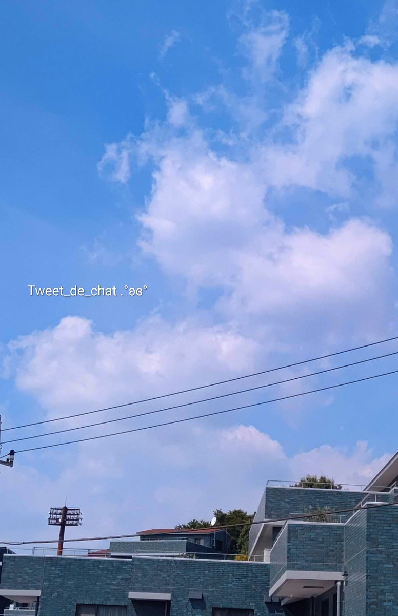 あんな🍎*。🐱 tweet media