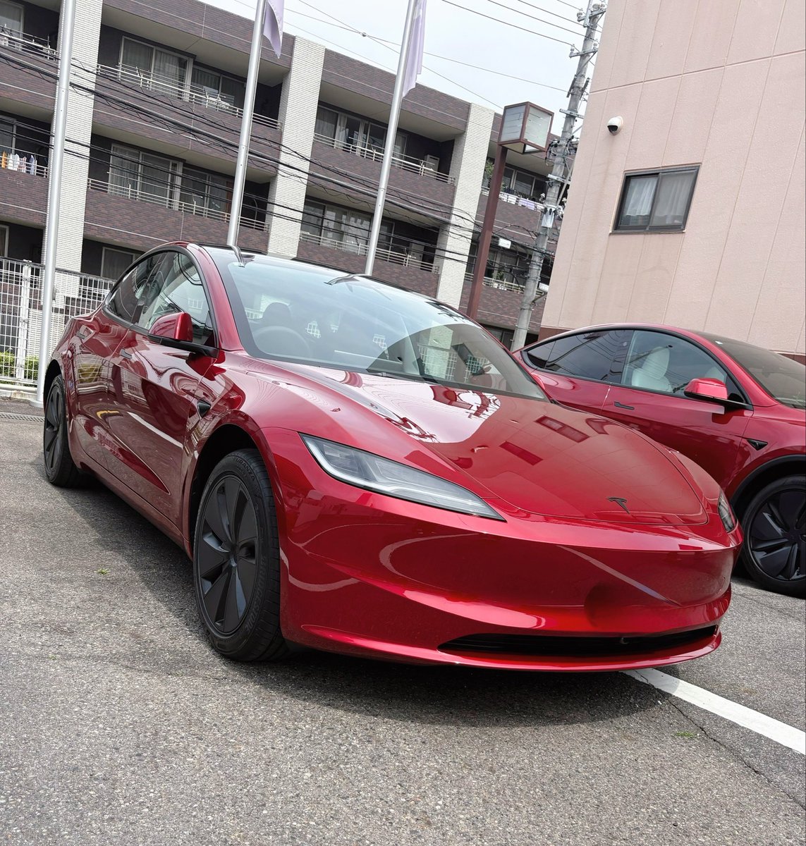 テス郎 tweet media