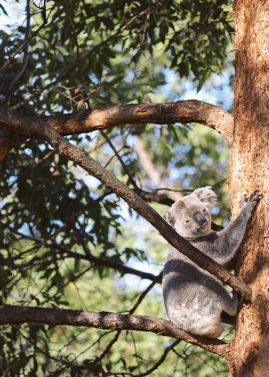 CrocHunterLodge tweet media