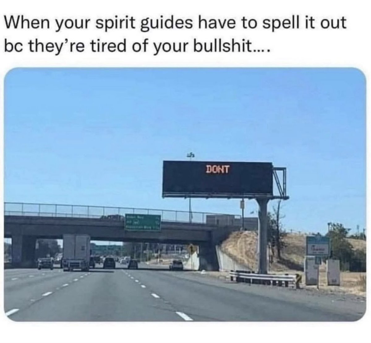 loveandlight❤️☀️🐺🐦‍⬛ tweet media