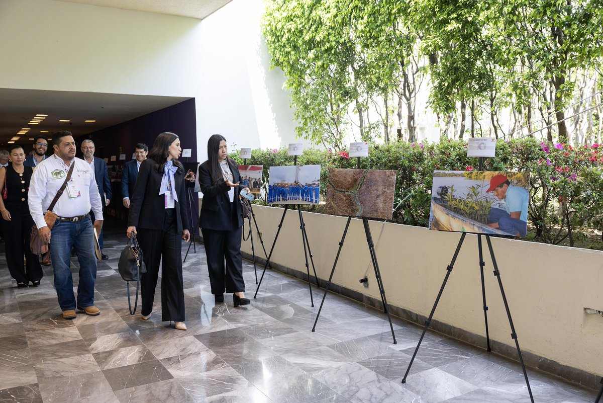 repsolmexico's tweet photo. Esta semana fuimos parte de la Convención Nacional Petrolera 2026 de @AMEXHI_Oficial donde presentamos los avances del Programa de restauración de la vegetación riparia en la Reserva de la Biosfera Wanha’, una iniciativa que nace de nuestras operaciones de exploración... https://t.co/B3ICFE0jiG