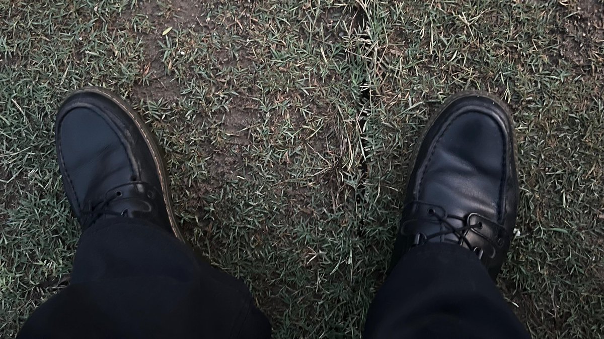 ⛥SYN!🪽 tweet media