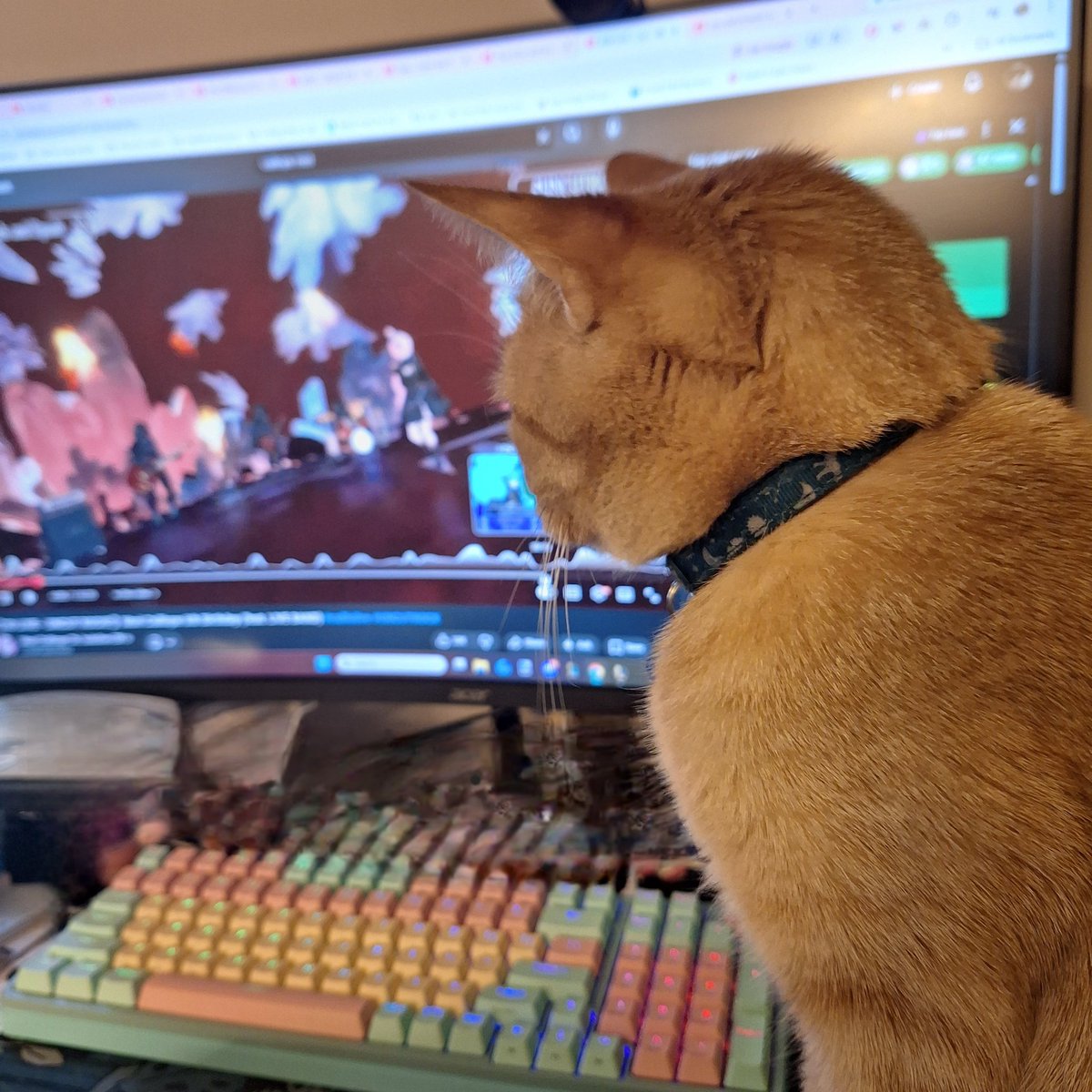 Micahmancer's tweet image. He likes watching Calliope Mori

#calliolive #uncutrock #hololive