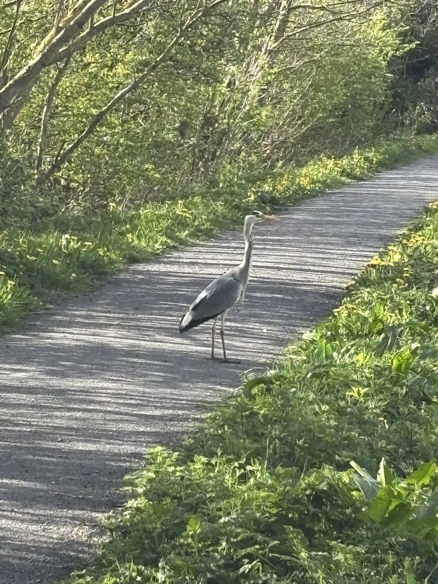 bigbaddoctor's tweet image. So it’s that day 
Day 1 of #vanlife
All very #newbie to it all
Feel like a young JD #scrubs 
#crooklands #lancastercanal